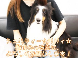 新しい家族が決まりました♪